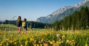 Dolomite and granite rocks: hiking in Madonna di Campiglio