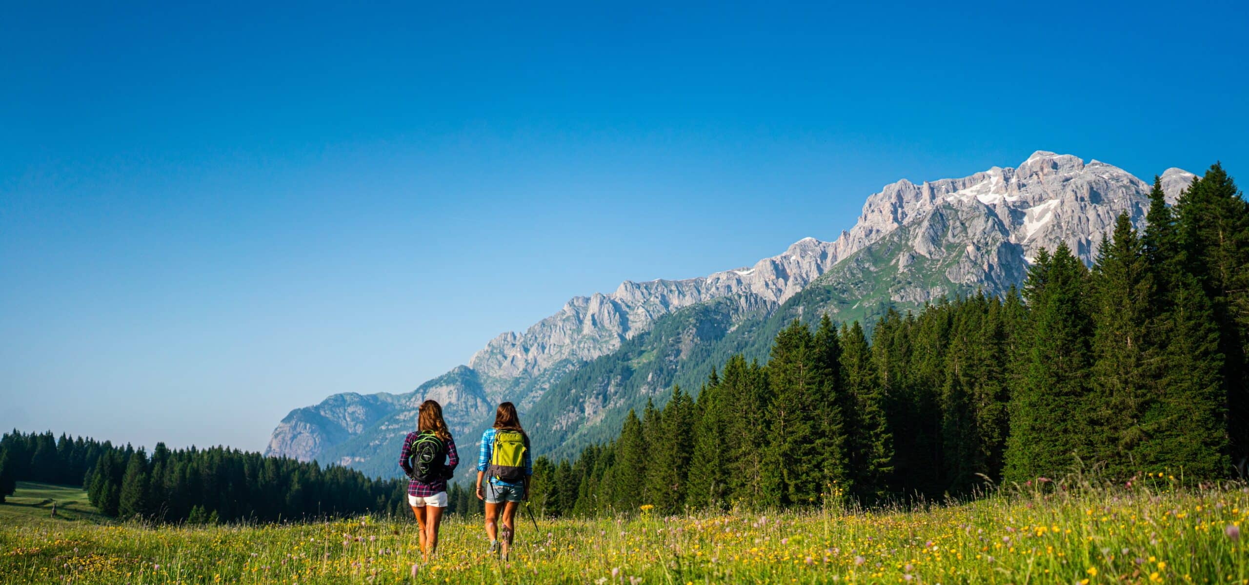 Due escursionisti con zaini camminano in un prato fiorito verso un bosco e montagne sullo sfondo