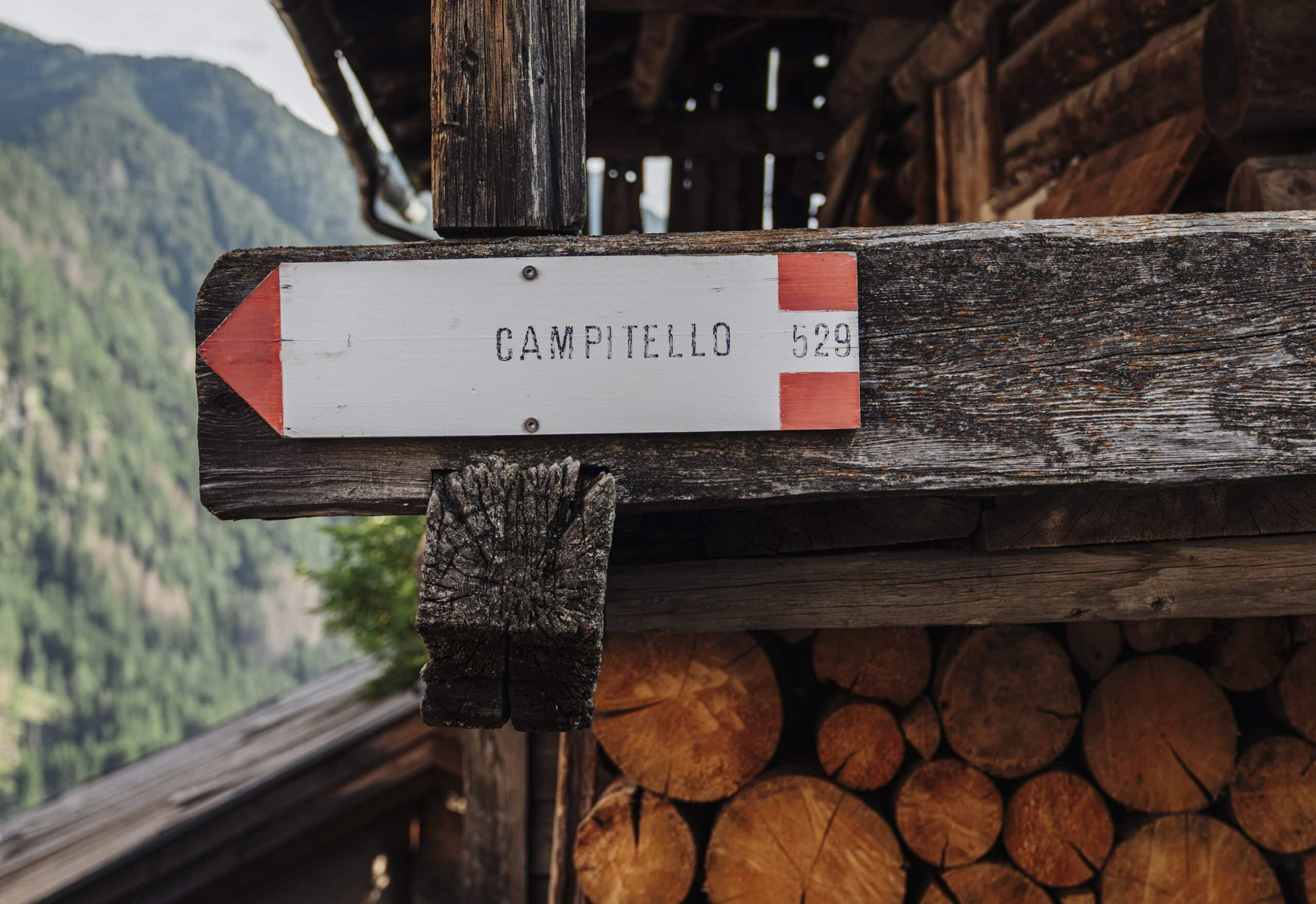 Cartello su trave di legno con freccia rossa e scritta CAMPITELLO 529, catasta di legna e montagna.