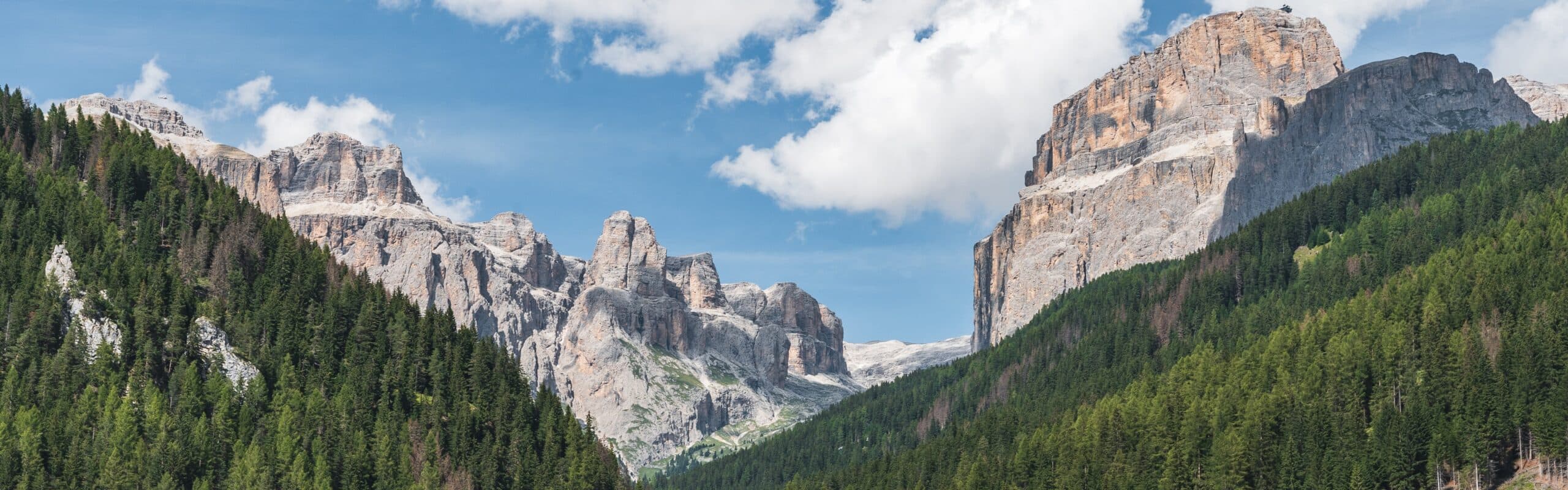 Foresta di pini in primo piano davanti a pareti rocciose alte sotto cielo azzurro con nuvole.