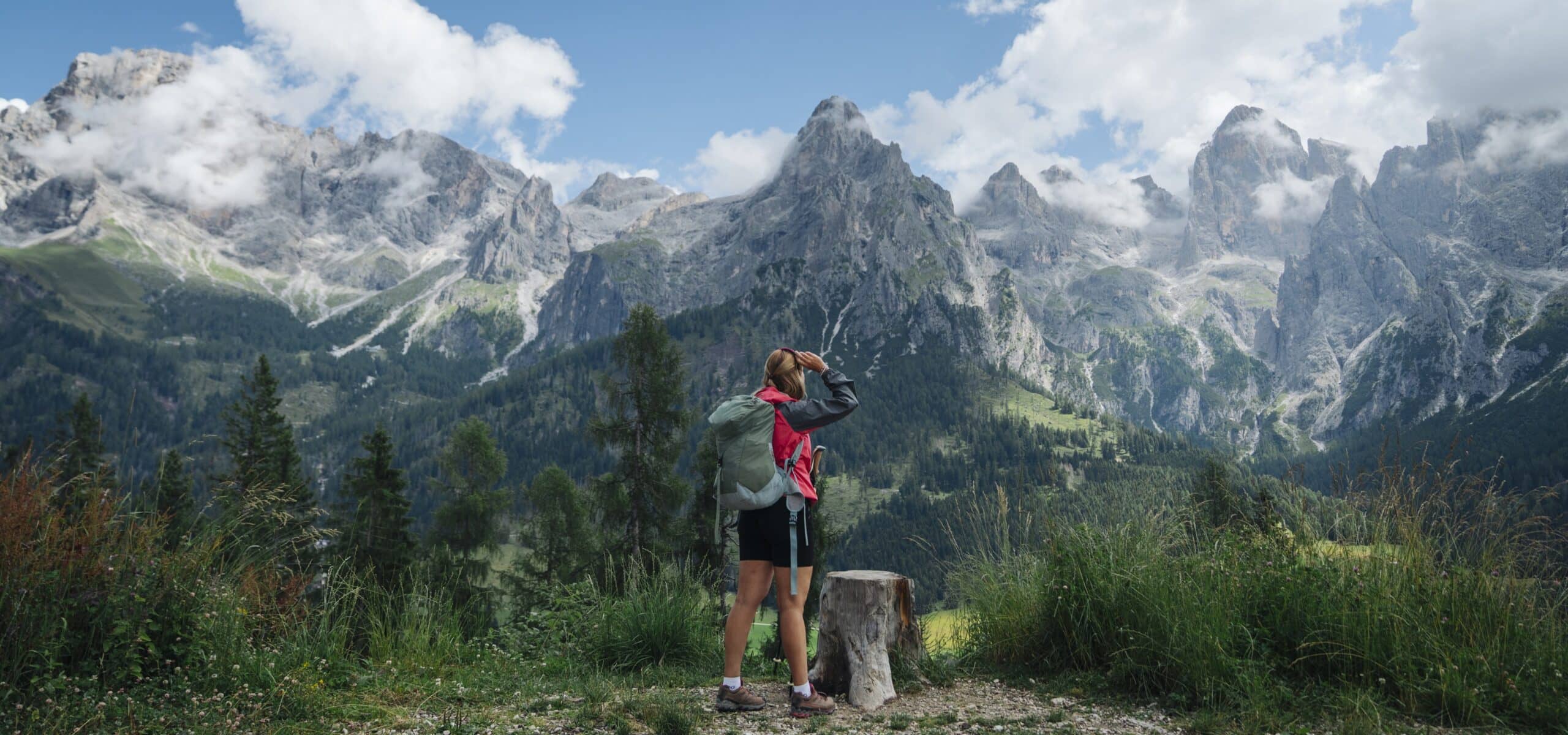 Escursionista con zaino guarda montagne rocciose e foresta alpina
