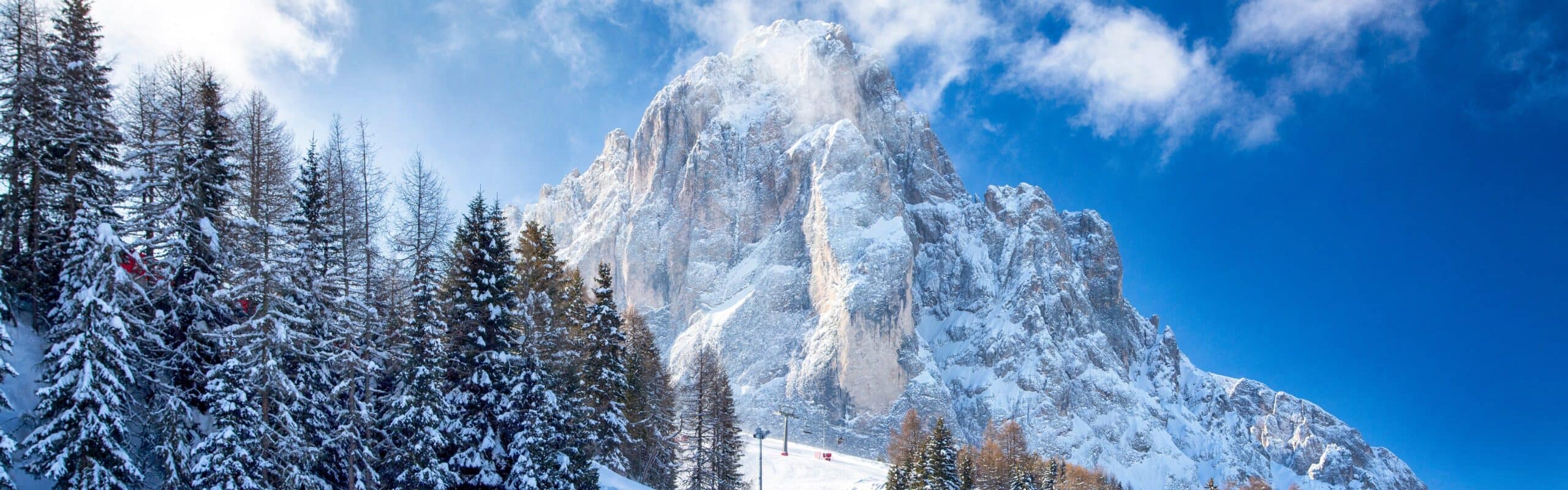 Alta parete montuosa innevata, davanti bosco di conifere con neve e impianto di risalita su pista