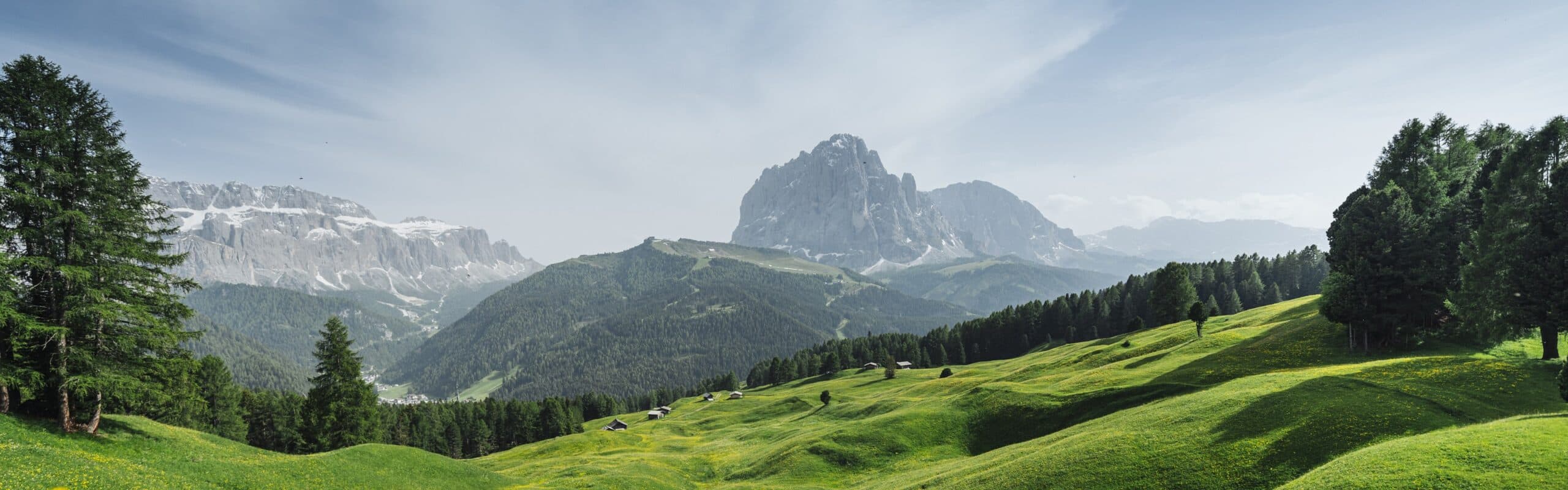 Lush green valley with mountains backdrop