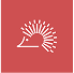 Strutture