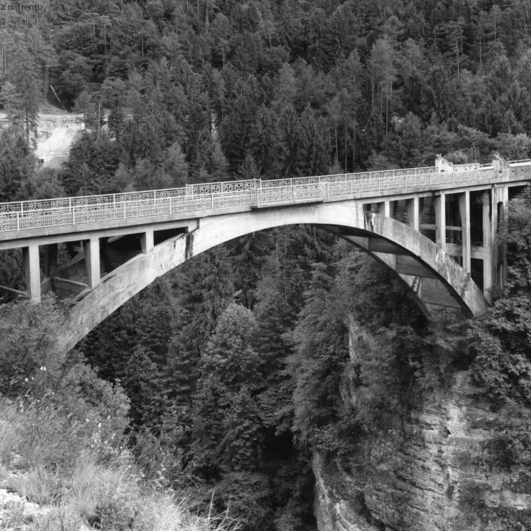 History Image 5