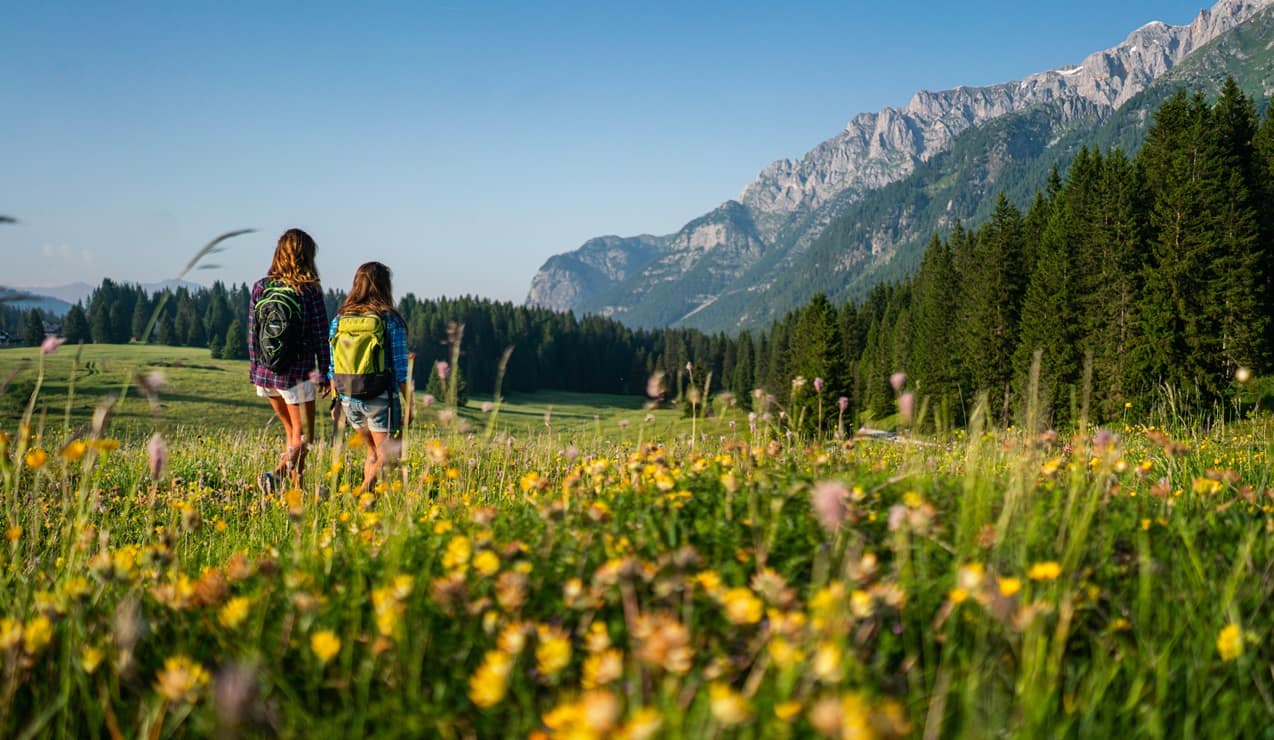Due persone con zaini camminano in un prato fiorito verso bosco e montagne sullo sfondo
