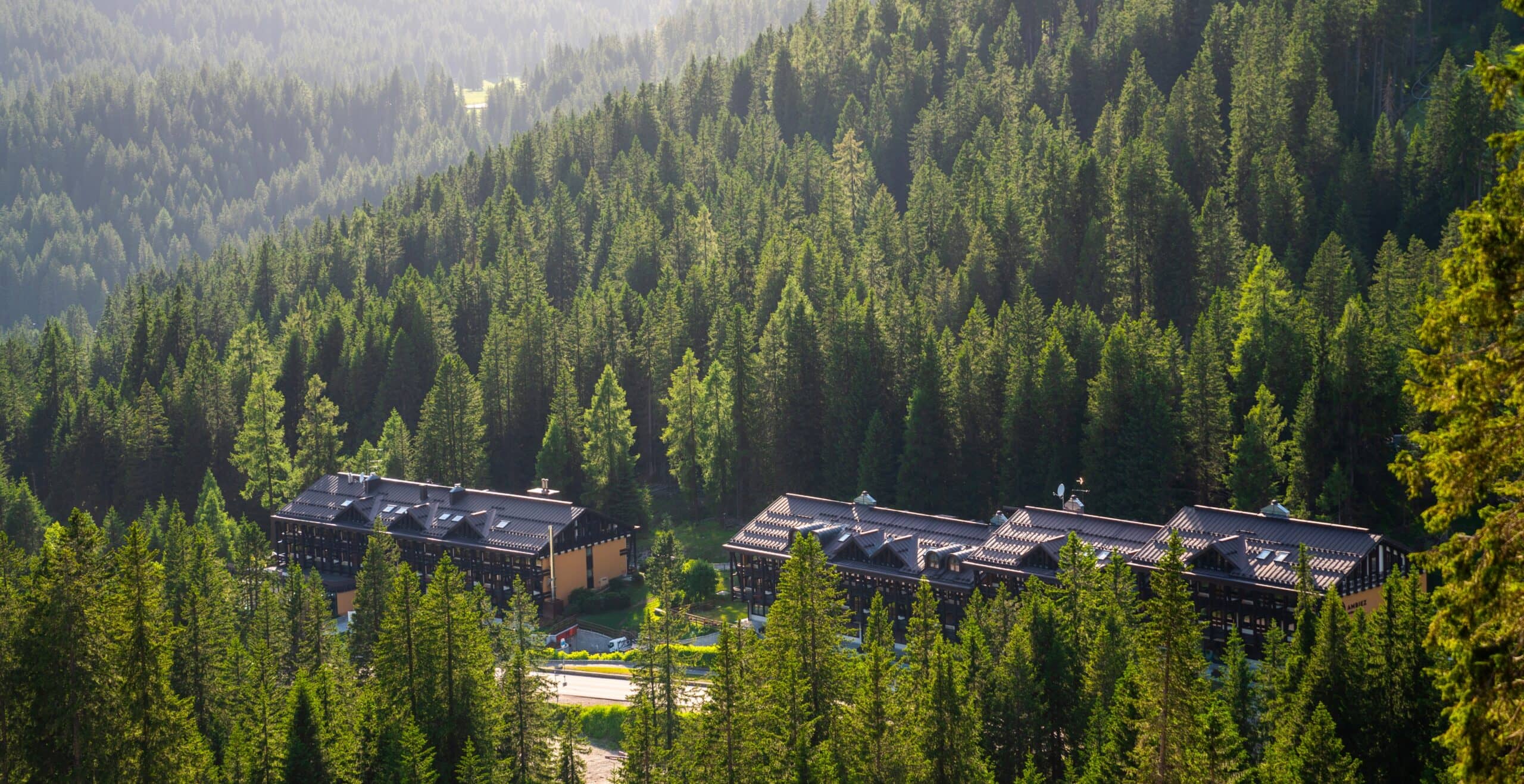 Due edifici tra una fitta foresta di conifere su un pendio montano illuminato dal sole