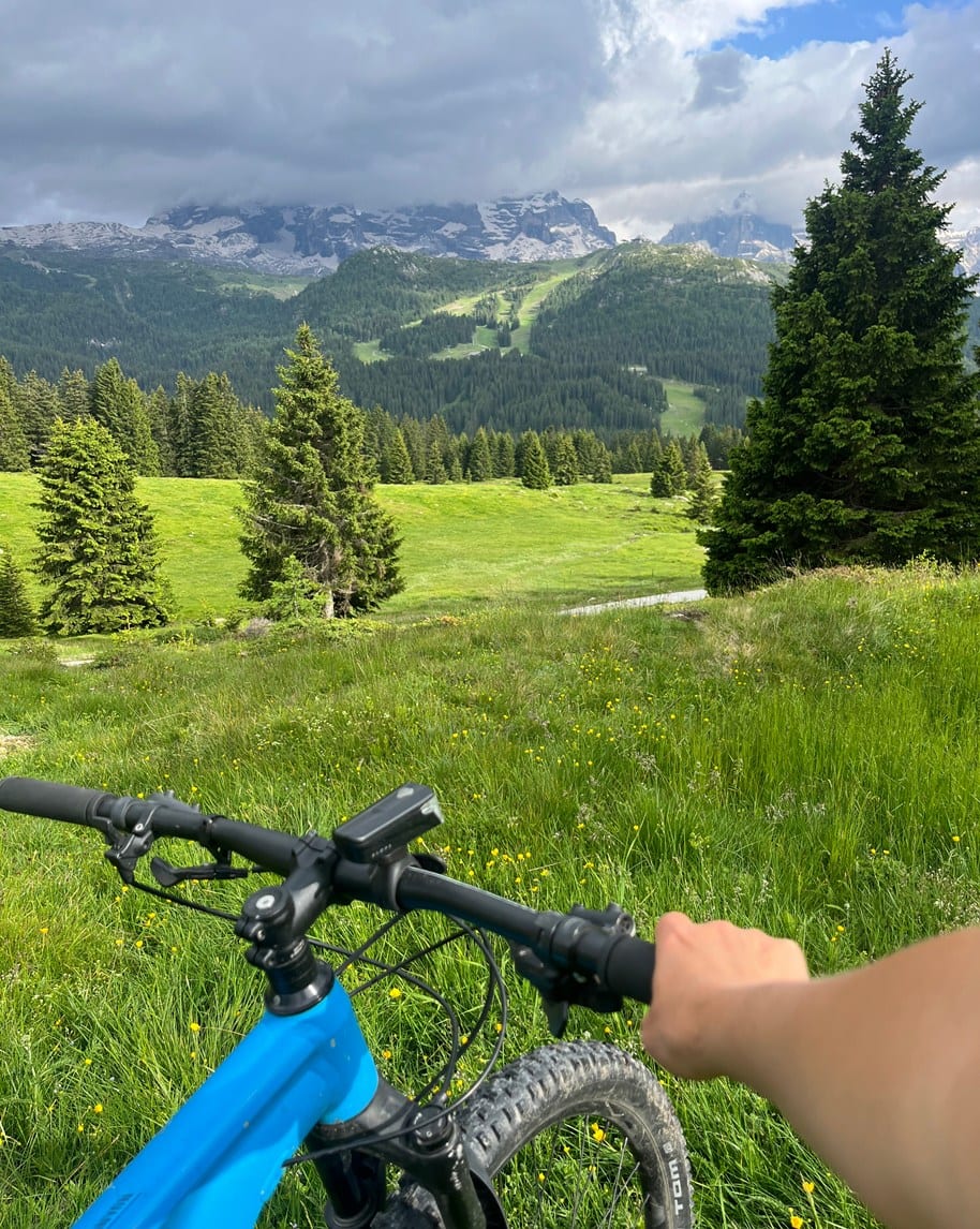 Mano sul manubrio di mountain bike su prato fiorito, pini e montagne nuvolose sullo sfondo