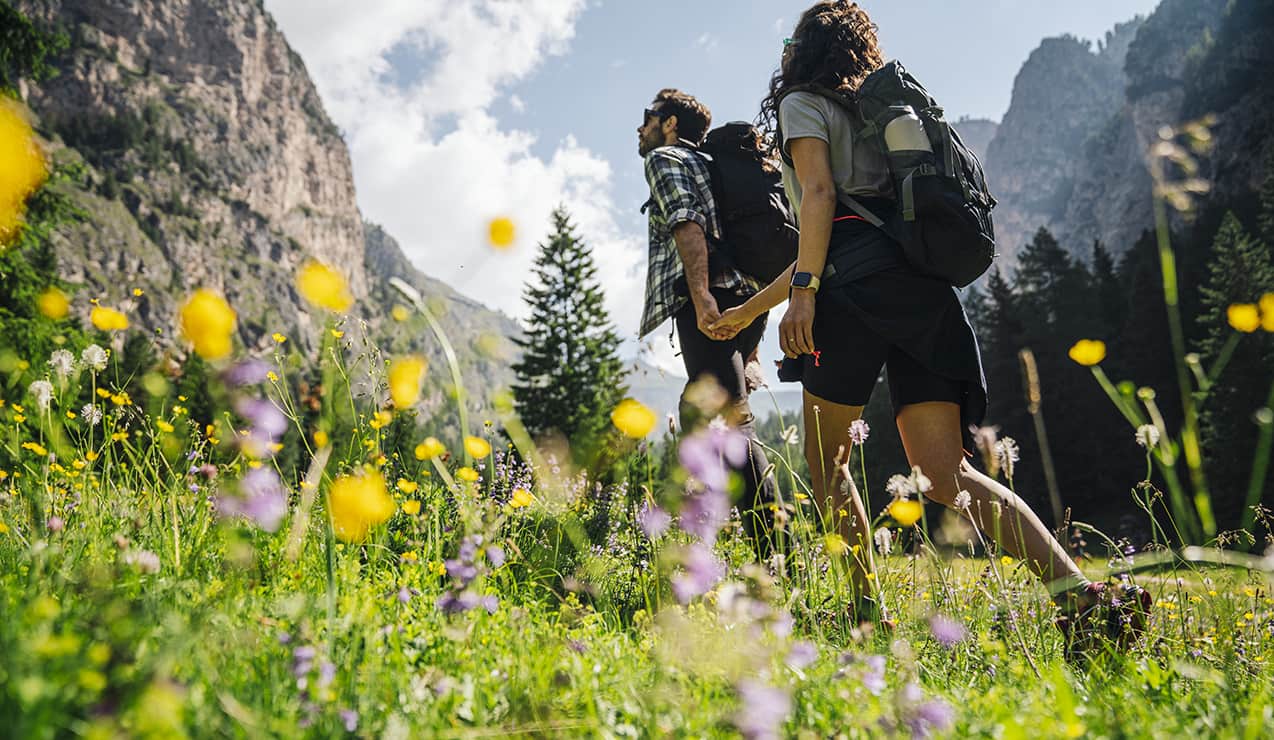 Due escursionisti con zaini che si tengono per mano in un prato fiorito verso montagne
