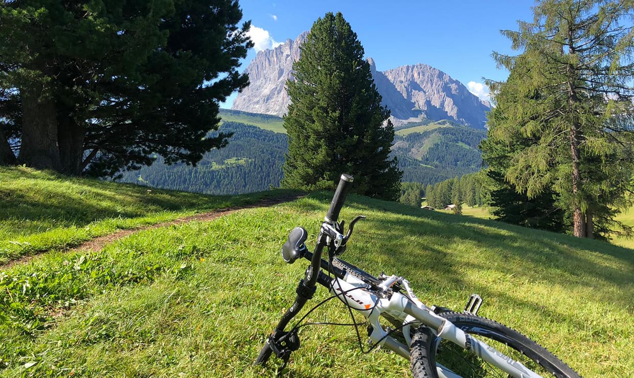 Bicicletta a terra su prato, sentiero, pini e montagne rocciose sullo sfondo
