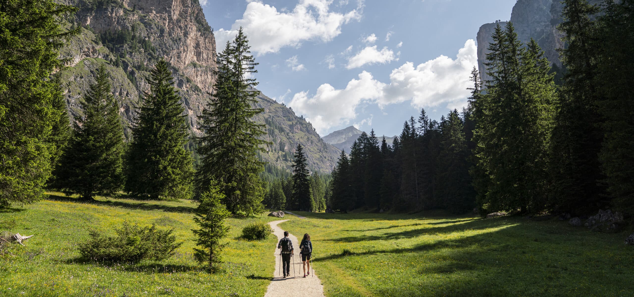 Due escursionisti con zaini e bastoncini camminano su sentiero in prato, circondati da pini e montagne rocciose.