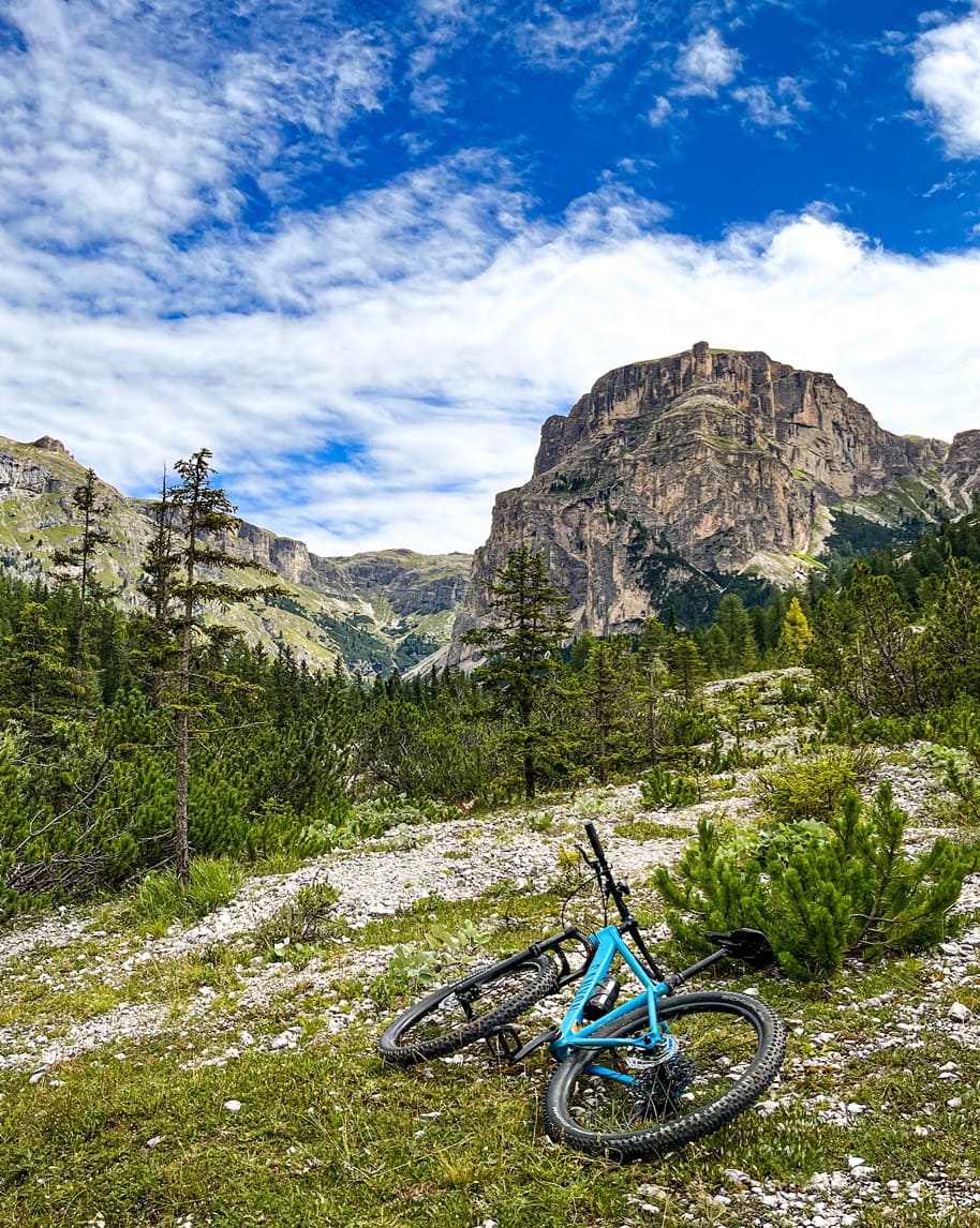 Bicicletta da montagna blu a terra su sentiero alpino, davanti a boschi e massiccio roccioso