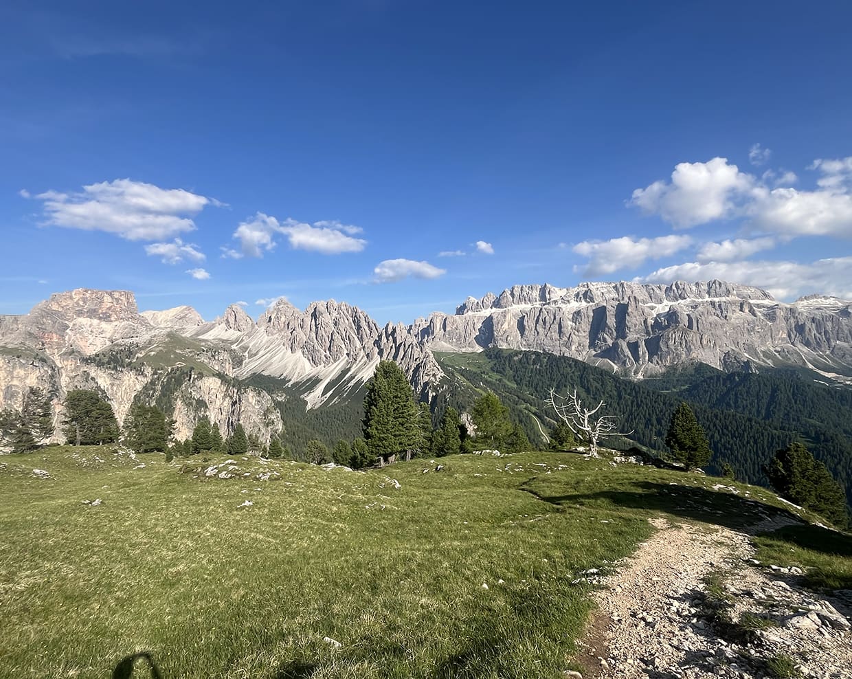 Catena montuosa rocciosa sullo sfondo, prato verde con sentiero sterrato e alberi sparsi sotto cielo azzurro