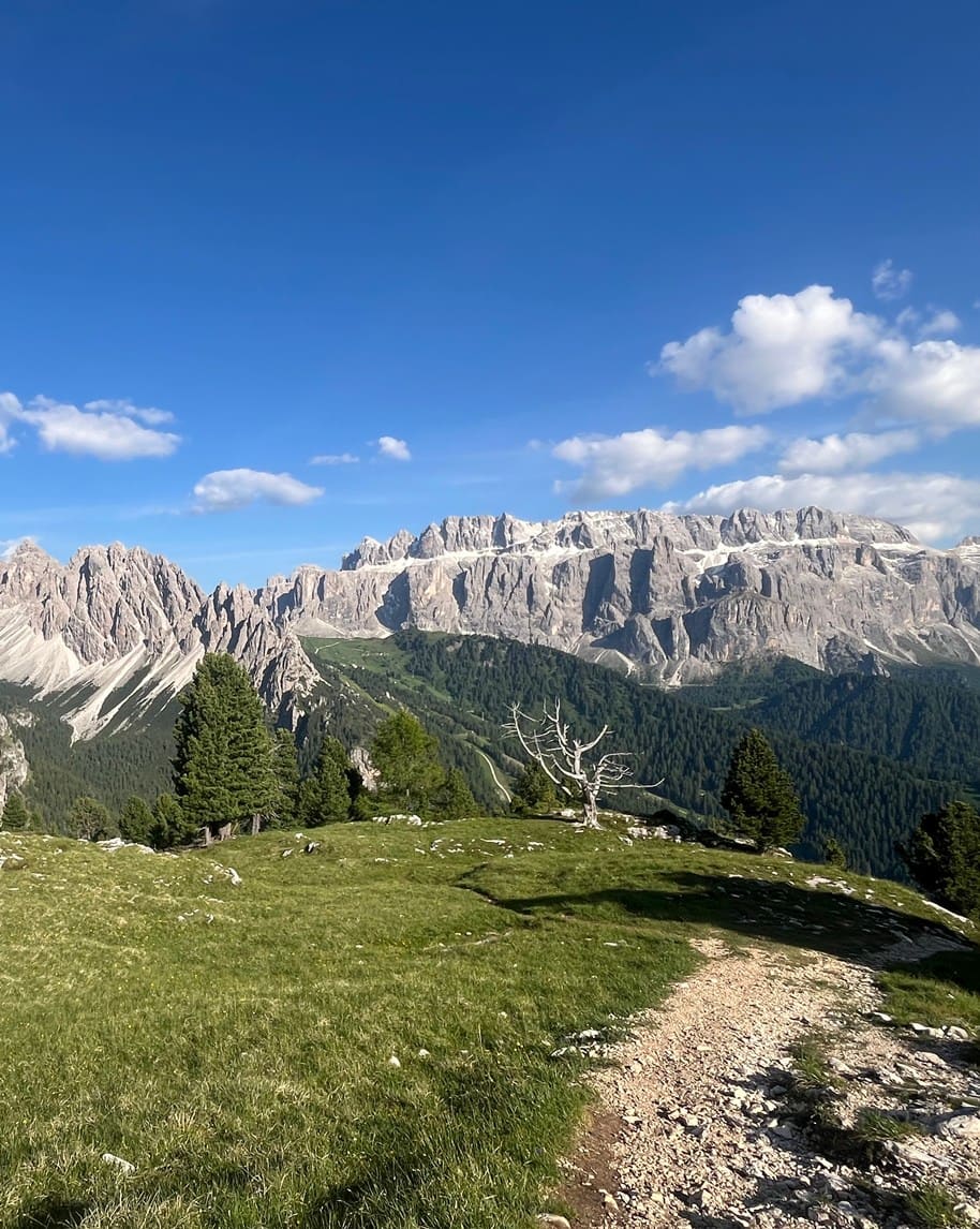 Prato e sentiero in primo piano, alberi e Dolomiti rocciose con cime innevate sullo sfondo