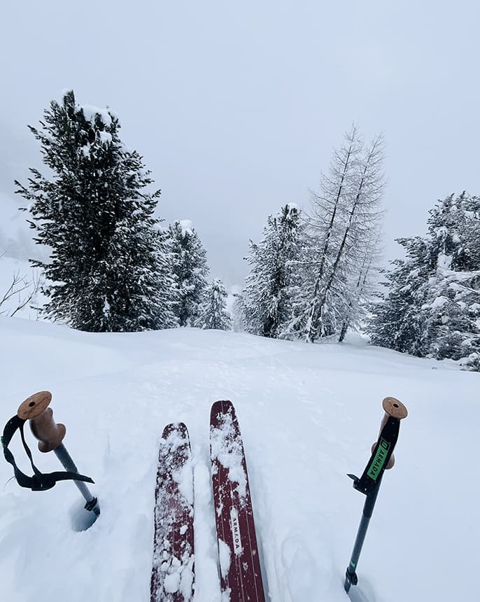 Sci puntati giù per un pendio innevato, bastoncini ai lati, alberi innevati sullo sfondo