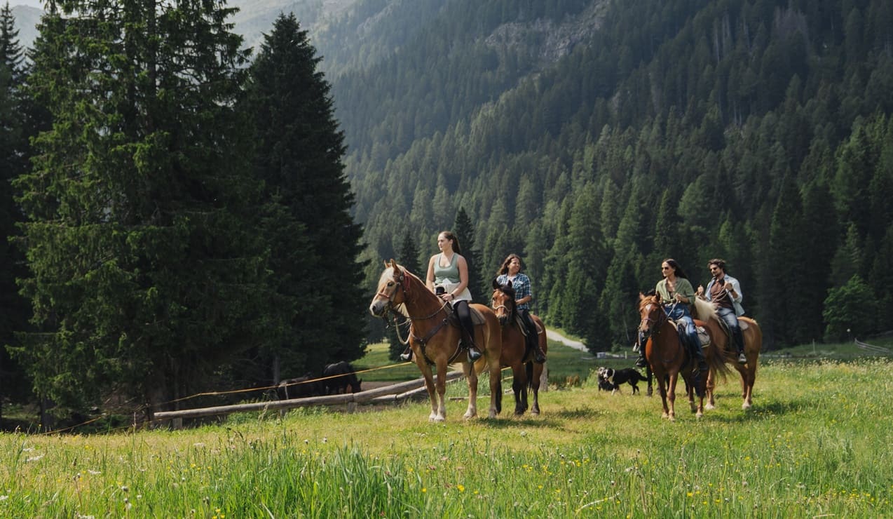 Quattro persone a cavallo che passeggiano in una prateria montana davanti a una foresta di conifere