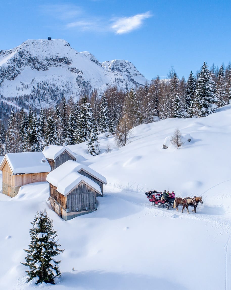 Slitta trainata da due cavalli con passeggeri su una pista nella neve, accanto a baite in legno e pini