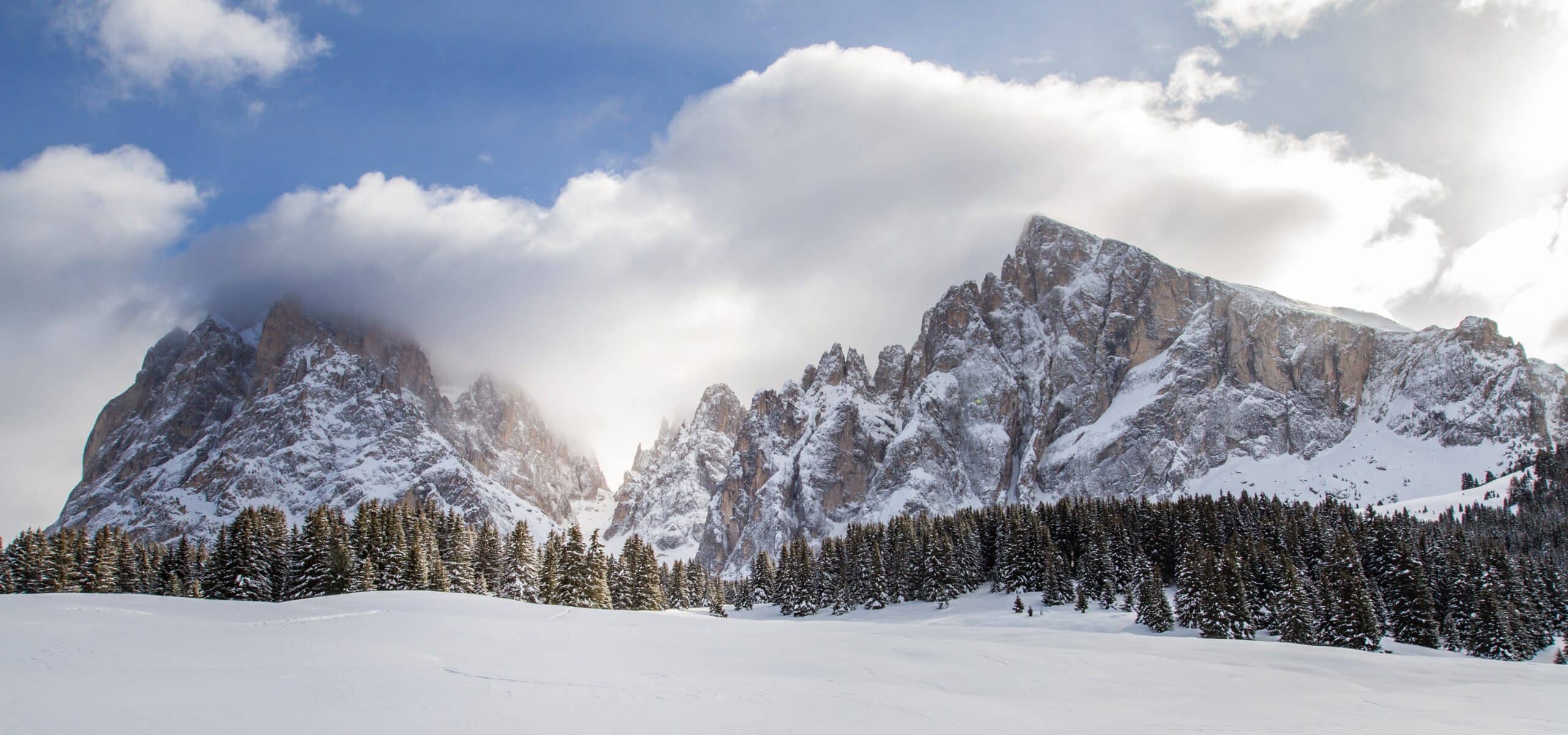 Massiccio montuoso innevato con creste rocciose, foresta di conifere innevata in primo piano e cielo nuvoloso