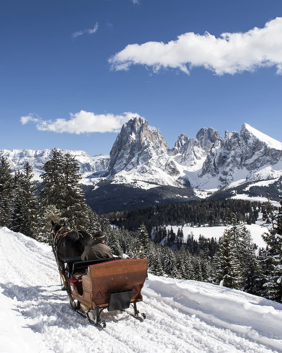Slitta trainata da un cavallo con conducente su strada innevata, foreste e montagne innevate sullo sfondo