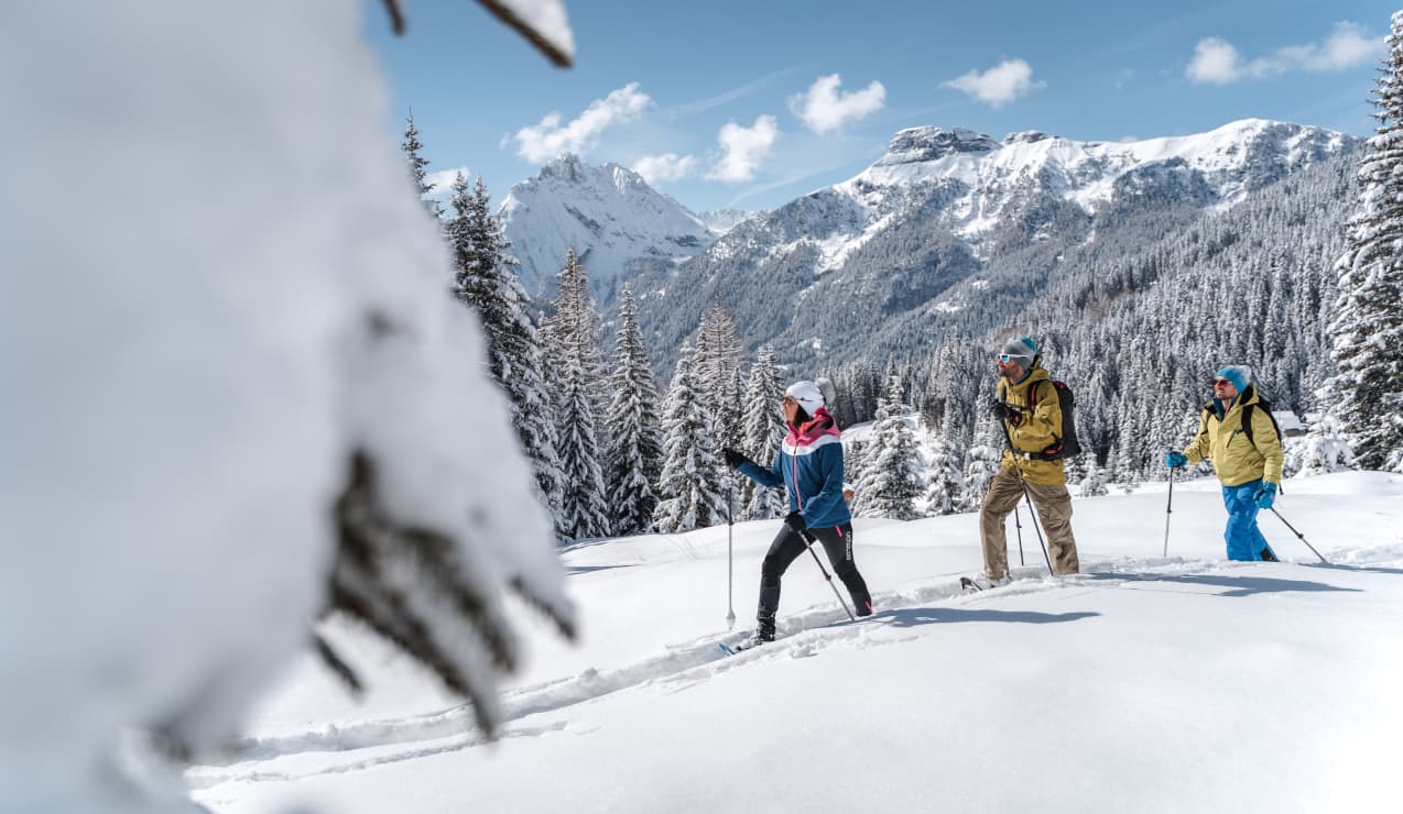 Tre escursionisti con ciaspole camminano sulla neve tra abeti, montagne innevate sullo sfondo