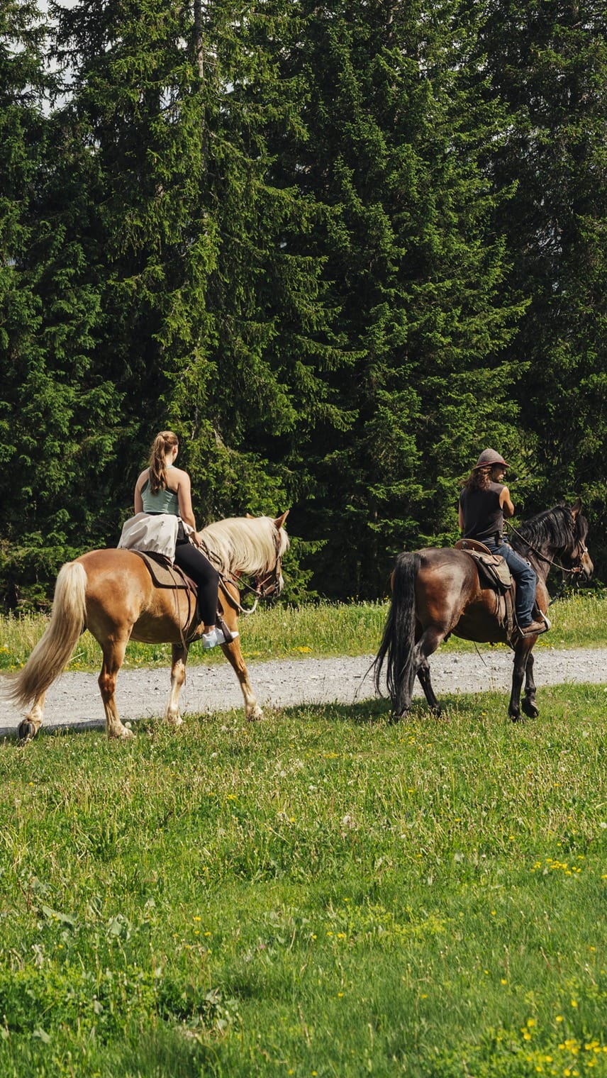 Zwei Personen reiten auf Pferden auf einem Feldweg vor Nadelwald.