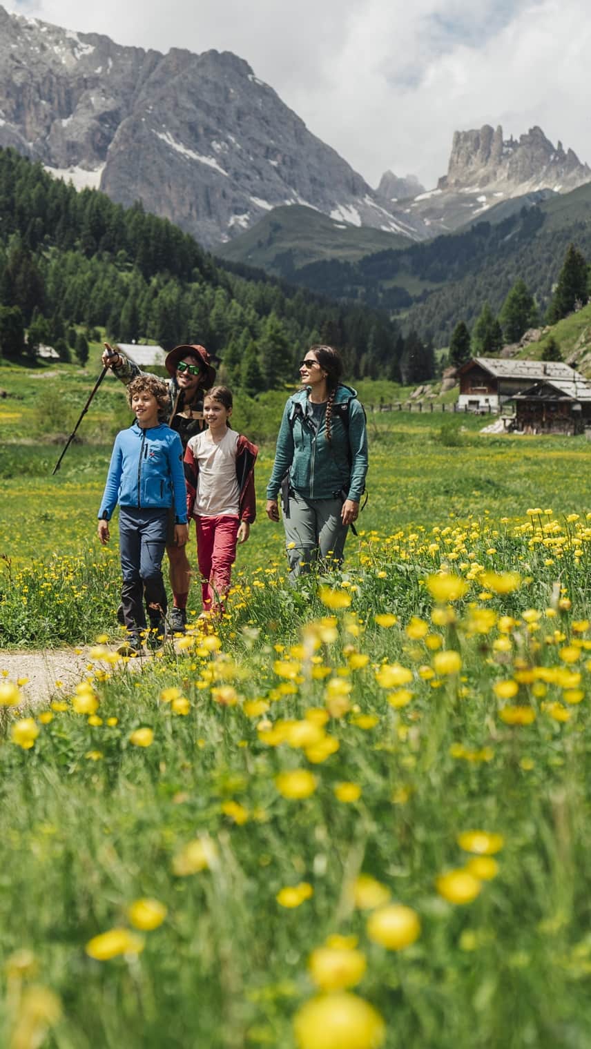 Gruppe (zwei Erwachsene, zwei Kinder) wandert durch gelbe Blumenwiese, Alpenberge und Holzhütten im Hintergrund.