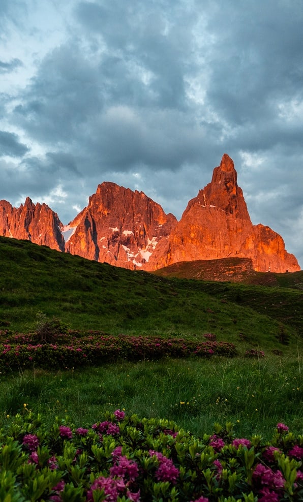 Cime rocciose illuminate dal tramonto sopra prato verde con rododendri fioriti, cielo parzialmente nuvoloso
