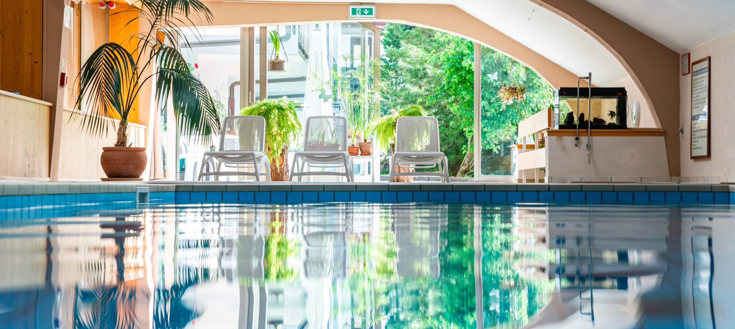 Piscina interna con riflessi, tre sdraio bianche davanti a vetrata e piante verdi