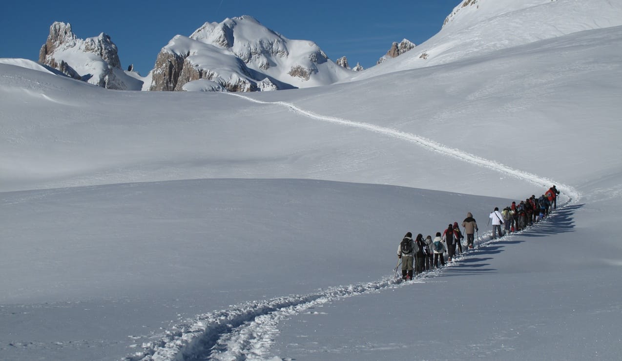 Gruppo di escursionisti in fila che attraversa un campo di neve, traccia sinuosa verso montagne innevate