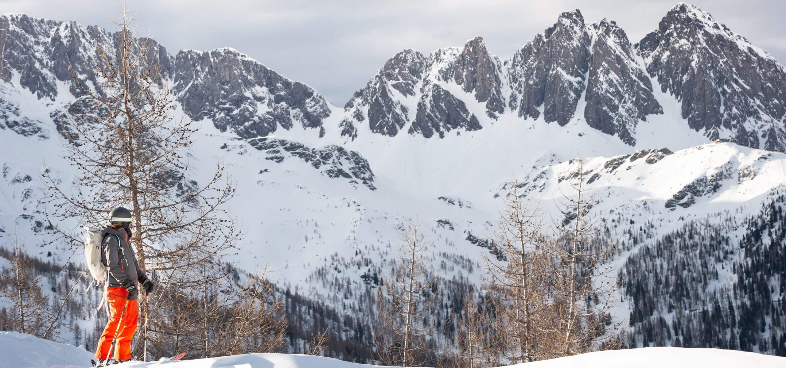 Sciatore con zaino fermo su neve guarda catena montuosa innevata tra alberi spogli