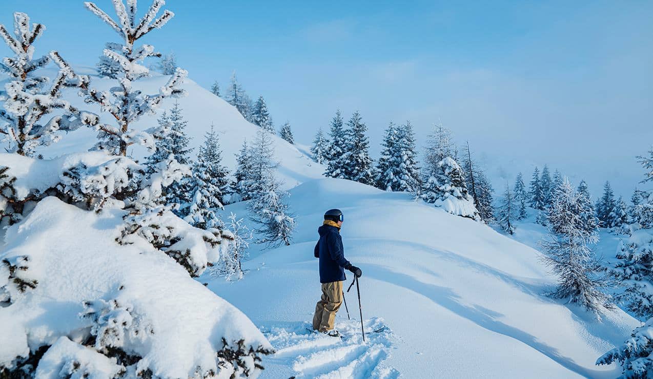 Persona con casco e bastoncini rivolta verso una foresta di conifere su pendio innevato