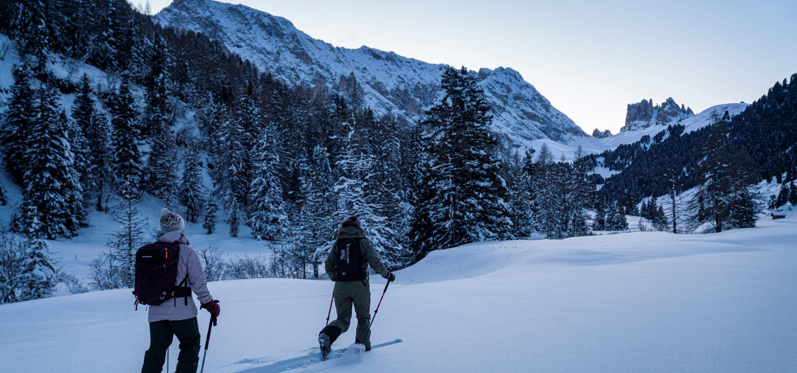 Due persone con sci e bastoncini camminano nella neve verso una foresta e montagne innevate